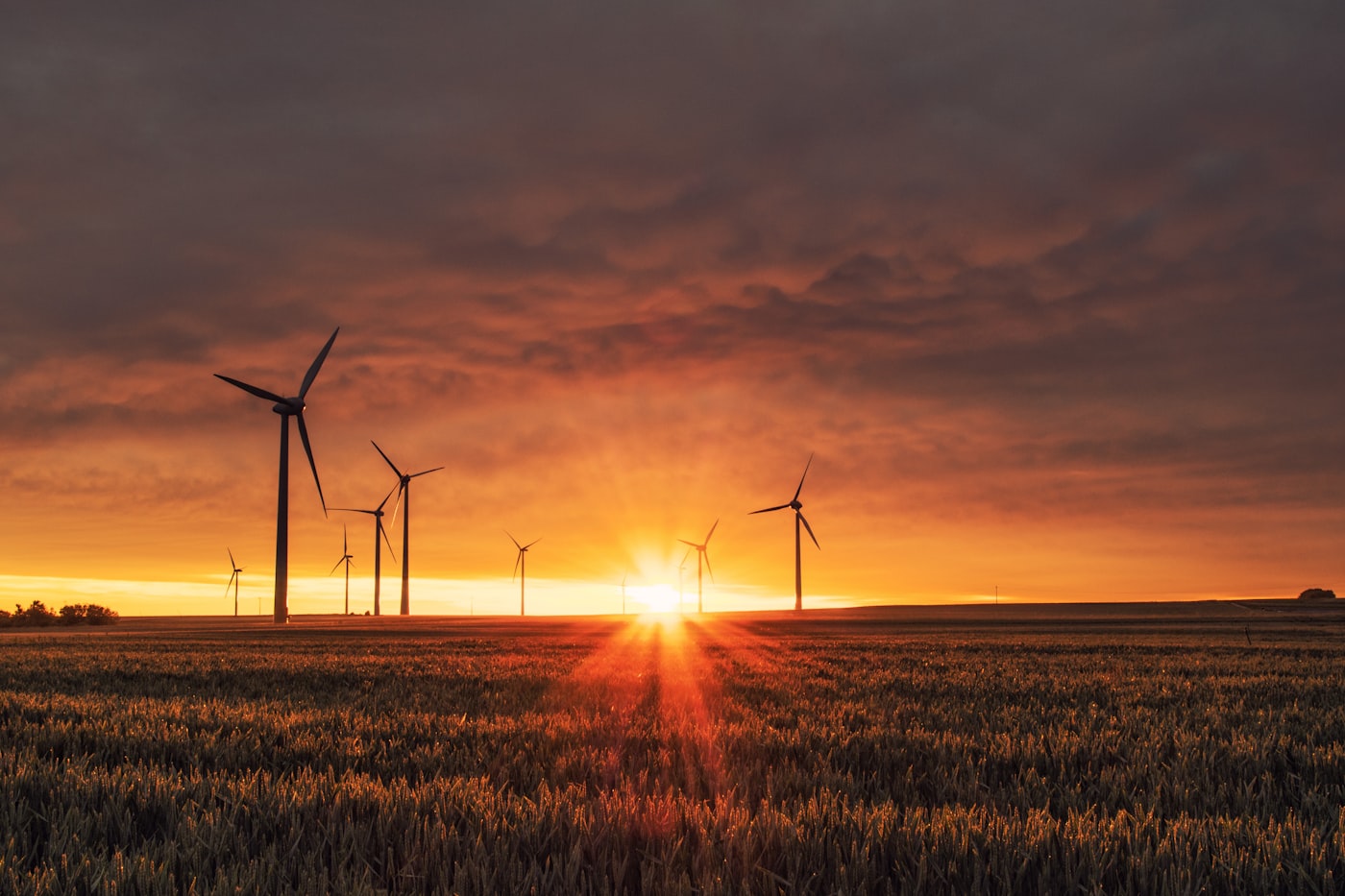 Wind turbines representing renewable energy investment